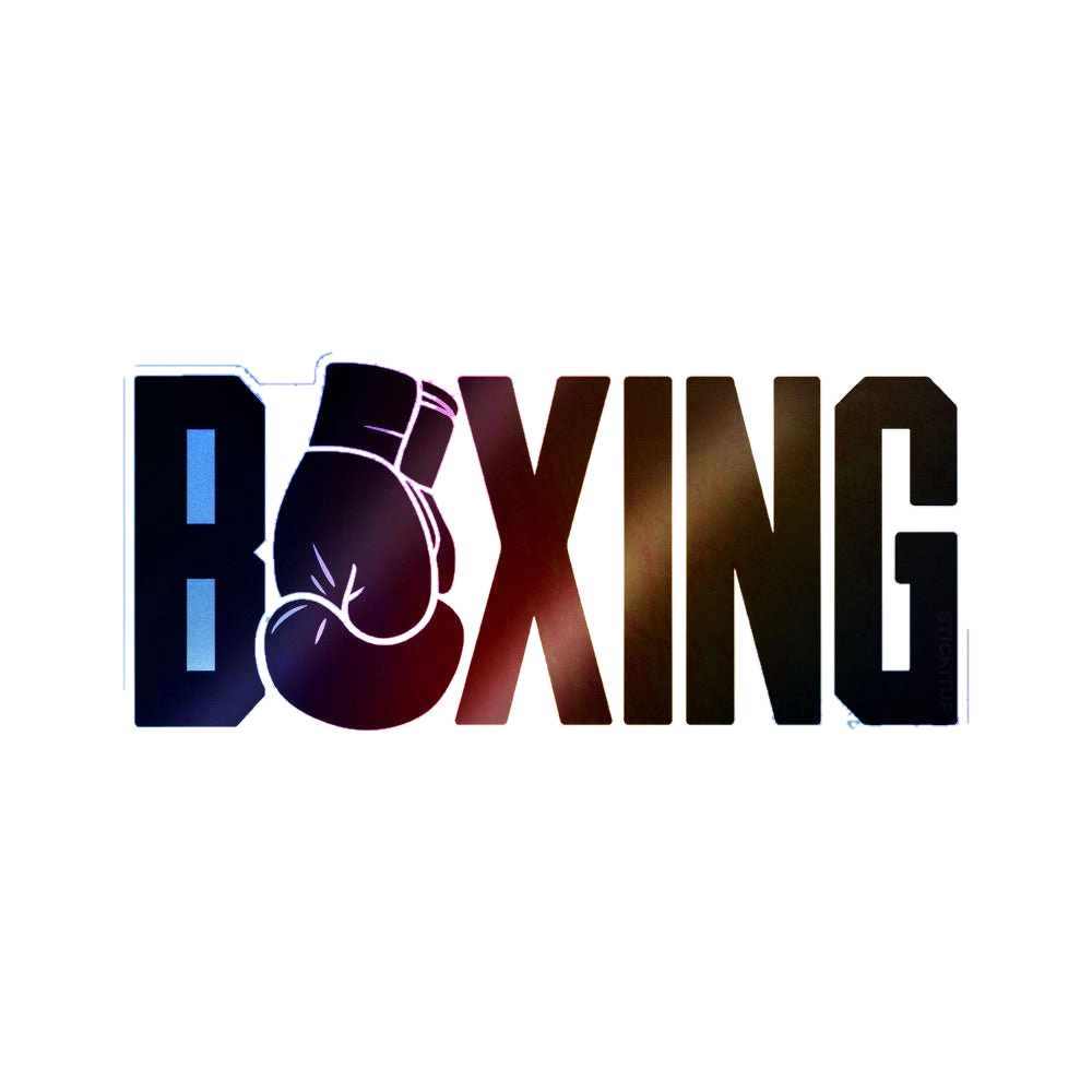 Boxing Holographic Stickers
